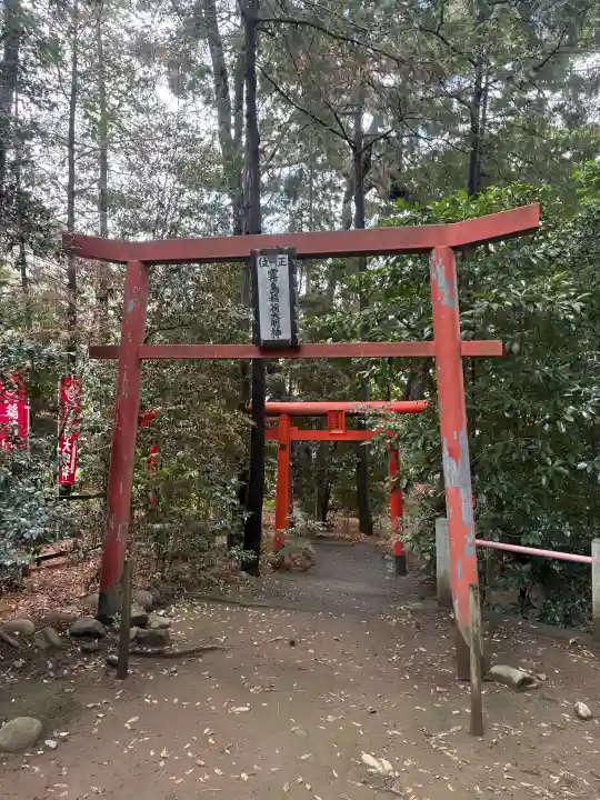 開運招福 飯玉神社(群馬県)