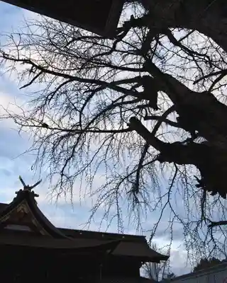 吉備津神社(岡山県)