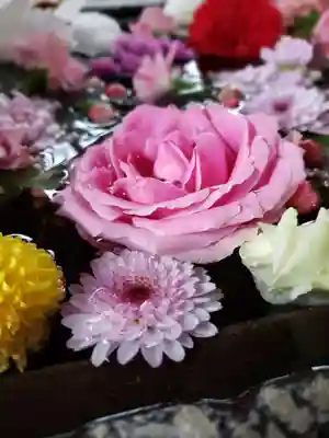 鳩森八幡神社(東京都)