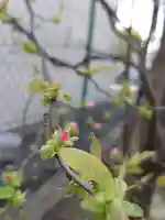 七宮神社(兵庫県)