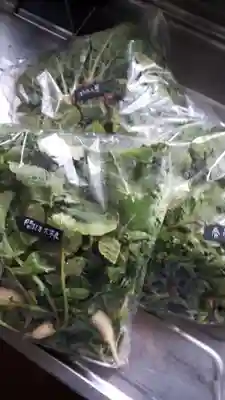 手稲神社(北海道)