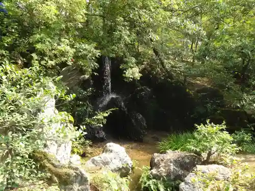 鹿苑寺（金閣寺）の庭園