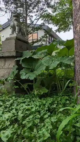 帯広三吉神社の自然