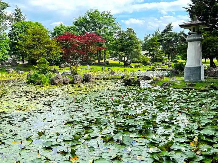 北海道護國神社の自然