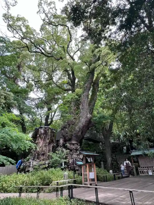 來宮神社の{uncategorized: "未分類", other: "その他", undefined: "問題あり", building: "その他建物", grave: "お墓", sacred_gate: "鳥居", guardian: "狛犬", statue: "像", buddha: "仏像", history: "歴史", nature: "自然", garden: "庭園", animal: "動物", pagoda: "塔", temizu: "手水舎", mountain_gate: "山門・神門", sanctuary: "本殿・本堂", subordinate: "末社・摂社", art: "芸術", scenery: "景色", jizo: "地蔵", ema: "絵馬", goshuin: "御朱印", omikuji: "おみくじ", items: "授与品その他", amulet: "お守り", goshuincho: "御朱印帳", eats: "食事", festival: "お祭り", votive_dance: "神楽", shichigosan: "七五三参", wedding: "結婚式", experience: "体験その他", initially: "初詣", around: "周辺", anti_infection: "感染症対策"}