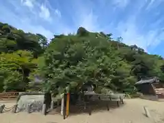 山王宮日吉神社(京都府)