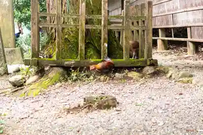 天岩戸神社(宮崎県)