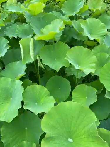 法華寺(奈良県)