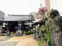 谷中西光寺の建物その他