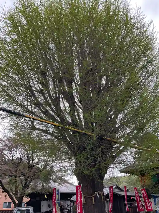 祐照庵 大戸観音堂(東京都)