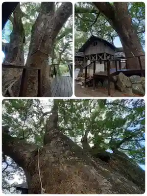 藤白神社(和歌山県)