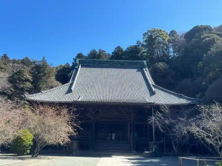妙本寺の{uncategorized: "未分類", other: "その他", undefined: "問題あり", building: "その他建物", grave: "お墓", sacred_gate: "鳥居", guardian: "狛犬", statue: "像", buddha: "仏像", history: "歴史", nature: "自然", garden: "庭園", animal: "動物", pagoda: "塔", temizu: "手水舎", mountain_gate: "山門・神門", sanctuary: "本殿・本堂", subordinate: "末社・摂社", art: "芸術", scenery: "景色", jizo: "地蔵", ema: "絵馬", goshuin: "御朱印", omikuji: "おみくじ", items: "授与品その他", amulet: "お守り", goshuincho: "御朱印帳", eats: "食事", festival: "お祭り", votive_dance: "神楽", shichigosan: "七五三参", wedding: "結婚式", experience: "体験その他", initially: "初詣", around: "周辺", anti_infection: "感染症対策"}