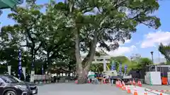 加藤神社(熊本県)