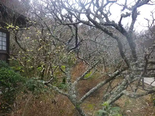 瑞泉寺のその他建物