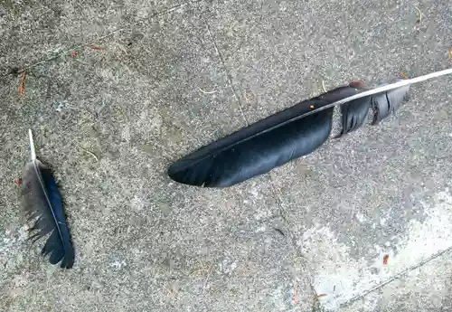 東川神社の動物