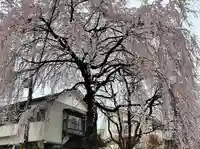 天満天神社(普門院天満宮)(長野県)