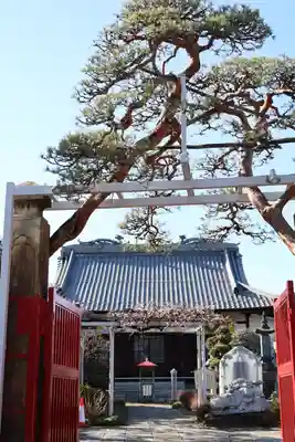 長善寺(東京都)