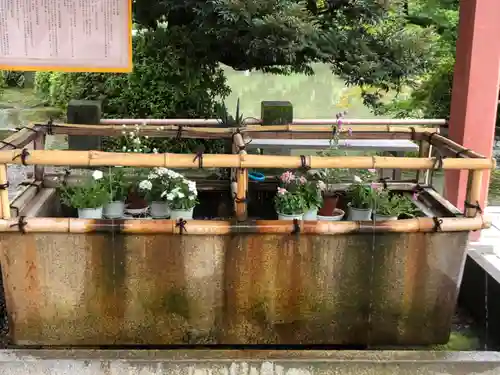 津島神社の手水舎