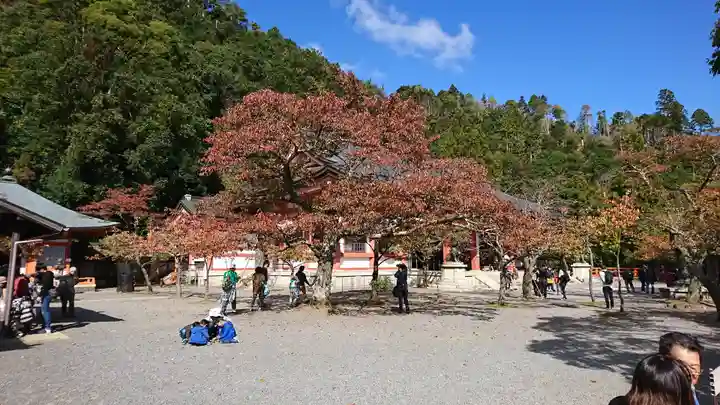 鞍馬寺(京都府)