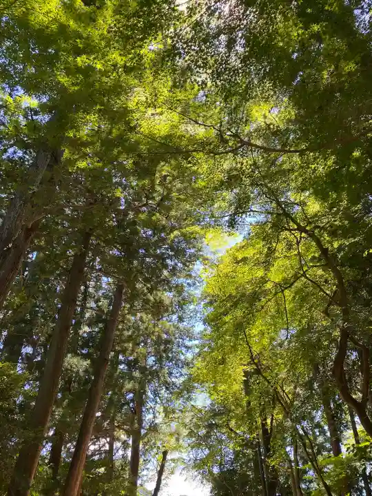 奥石神社(滋賀県)