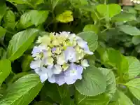 坐摩神社(大阪府)