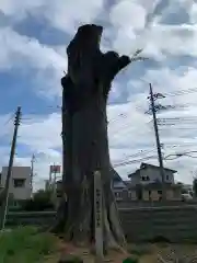 長沼八幡宮(栃木県)