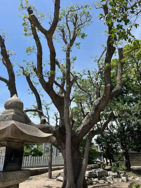 和田神社(兵庫県)