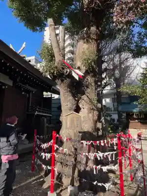三輪神社(愛知県)