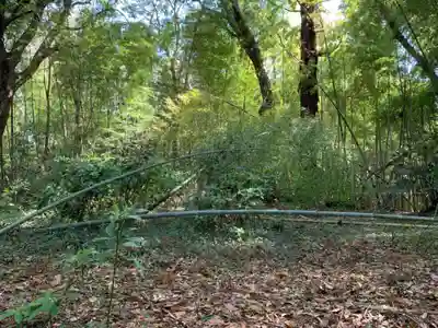 神社跡(千葉県)