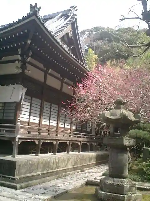 安國論寺(安国論寺)の本殿・本堂