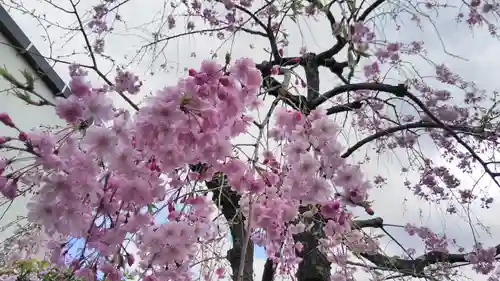 安楽寺天満宮の庭園