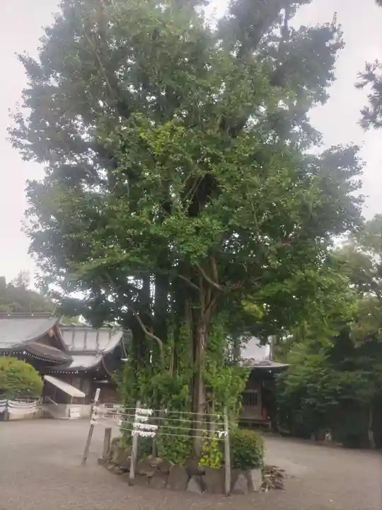 健軍神社(熊本県)