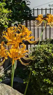 大松禅寺(京都府)