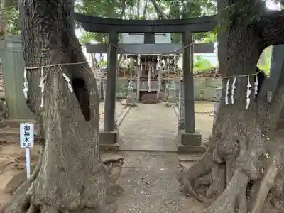 三峯神社(千葉県)