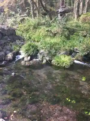 富士山本宮浅間大社(静岡県)