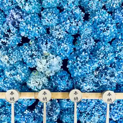 土津神社|こどもと出世の神さまの手水舎