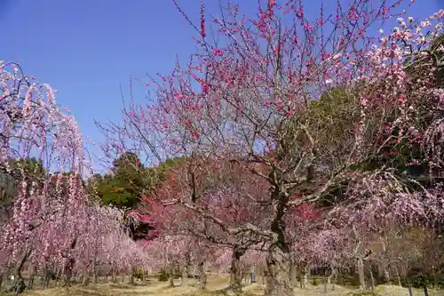 菅原神社(三重県)