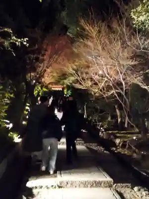 高台寺（高台寿聖禅寺・高臺寺）(京都府)