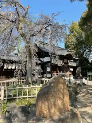 縣神社の本殿・本堂