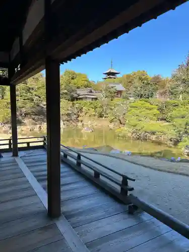仁和寺の{uncategorized: "未分類", other: "その他", undefined: "問題あり", building: "その他建物", grave: "お墓", sacred_gate: "鳥居", guardian: "狛犬", statue: "像", buddha: "仏像", history: "歴史", nature: "自然", garden: "庭園", animal: "動物", pagoda: "塔", temizu: "手水舎", mountain_gate: "山門・神門", sanctuary: "本殿・本堂", subordinate: "末社・摂社", art: "芸術", scenery: "景色", jizo: "地蔵", ema: "絵馬", goshuin: "御朱印", omikuji: "おみくじ", items: "授与品その他", amulet: "お守り", goshuincho: "御朱印帳", eats: "食事", festival: "お祭り", votive_dance: "神楽", shichigosan: "七五三参", wedding: "結婚式", experience: "体験その他", initially: "初詣", around: "周辺", anti_infection: "感染症対策"}