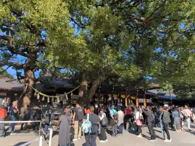 明治神宮(東京都)