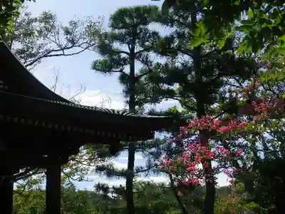 鶴岡八幡宮のその他建物