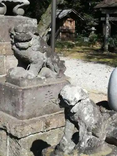 鷲宮神社の狛犬