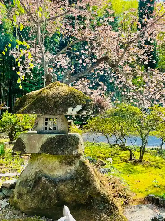 清源寺の{uncategorized: "未分類", other: "その他", undefined: "問題あり", building: "その他建物", grave: "お墓", sacred_gate: "鳥居", guardian: "狛犬", statue: "像", buddha: "仏像", history: "歴史", nature: "自然", garden: "庭園", animal: "動物", pagoda: "塔", temizu: "手水舎", mountain_gate: "山門・神門", sanctuary: "本殿・本堂", subordinate: "末社・摂社", art: "芸術", scenery: "景色", jizo: "地蔵", ema: "絵馬", goshuin: "御朱印", omikuji: "おみくじ", items: "授与品その他", amulet: "お守り", goshuincho: "御朱印帳", eats: "食事", festival: "お祭り", votive_dance: "神楽", shichigosan: "七五三参", wedding: "結婚式", experience: "体験その他", initially: "初詣", around: "周辺", anti_infection: "感染症対策"}