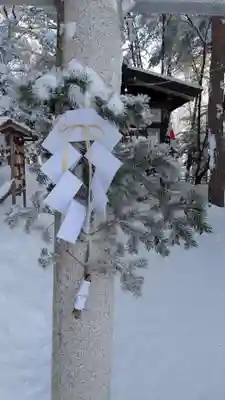 旭川天満宮の初詣