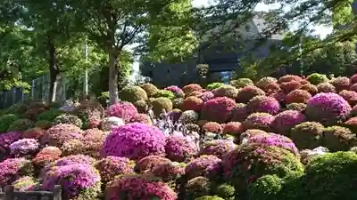 根津神社(東京都)