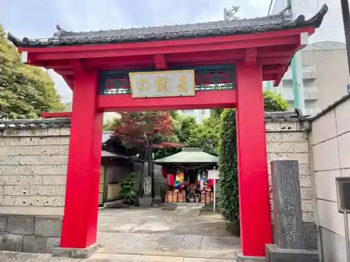 大円寺の山門