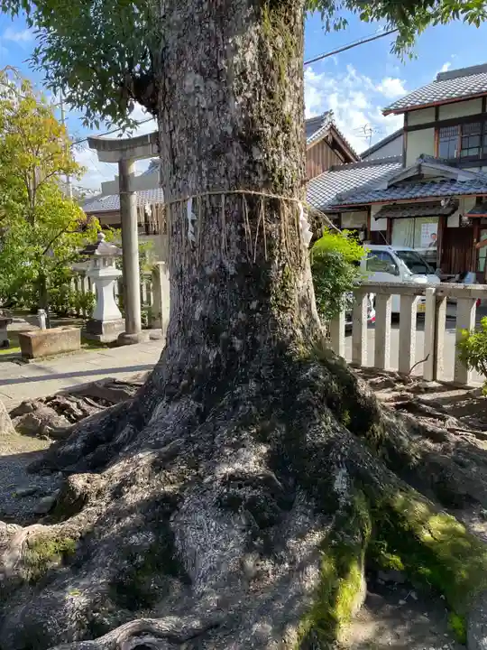 安樂寺天満宮(京都府)