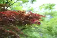 宝満宮竈門神社(福岡県)