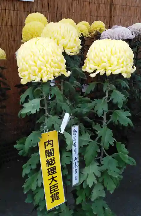 高幡不動尊 金剛寺(東京都)